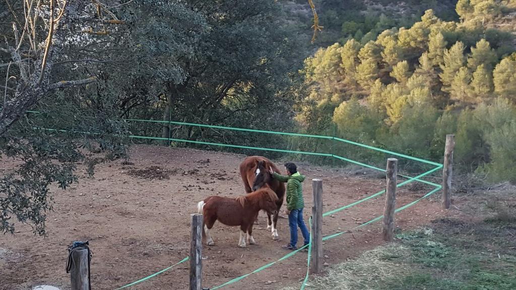 Masia Casajoana Rural Rellinars 外观 照片