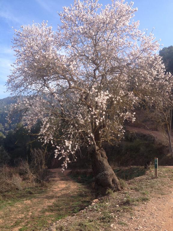 Masia Casajoana Rural Rellinars 外观 照片