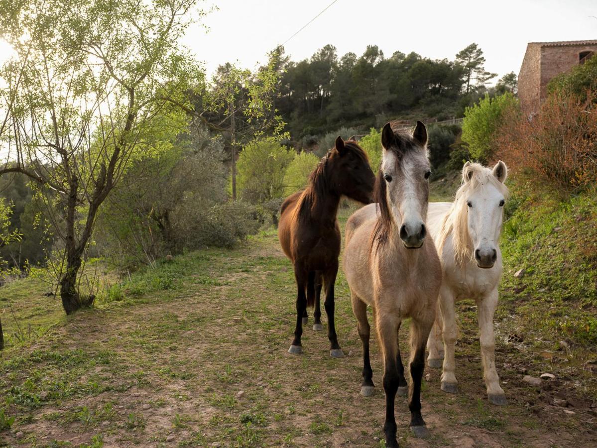 Masia Casajoana Rural Rellinars 外观 照片